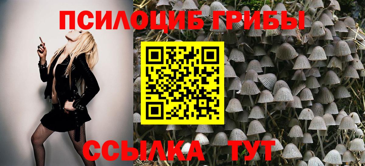 Галлюциногенные грибы Cubensis  Вход с VPN  Северск  Псилоцибиновые грибы мухоморы 